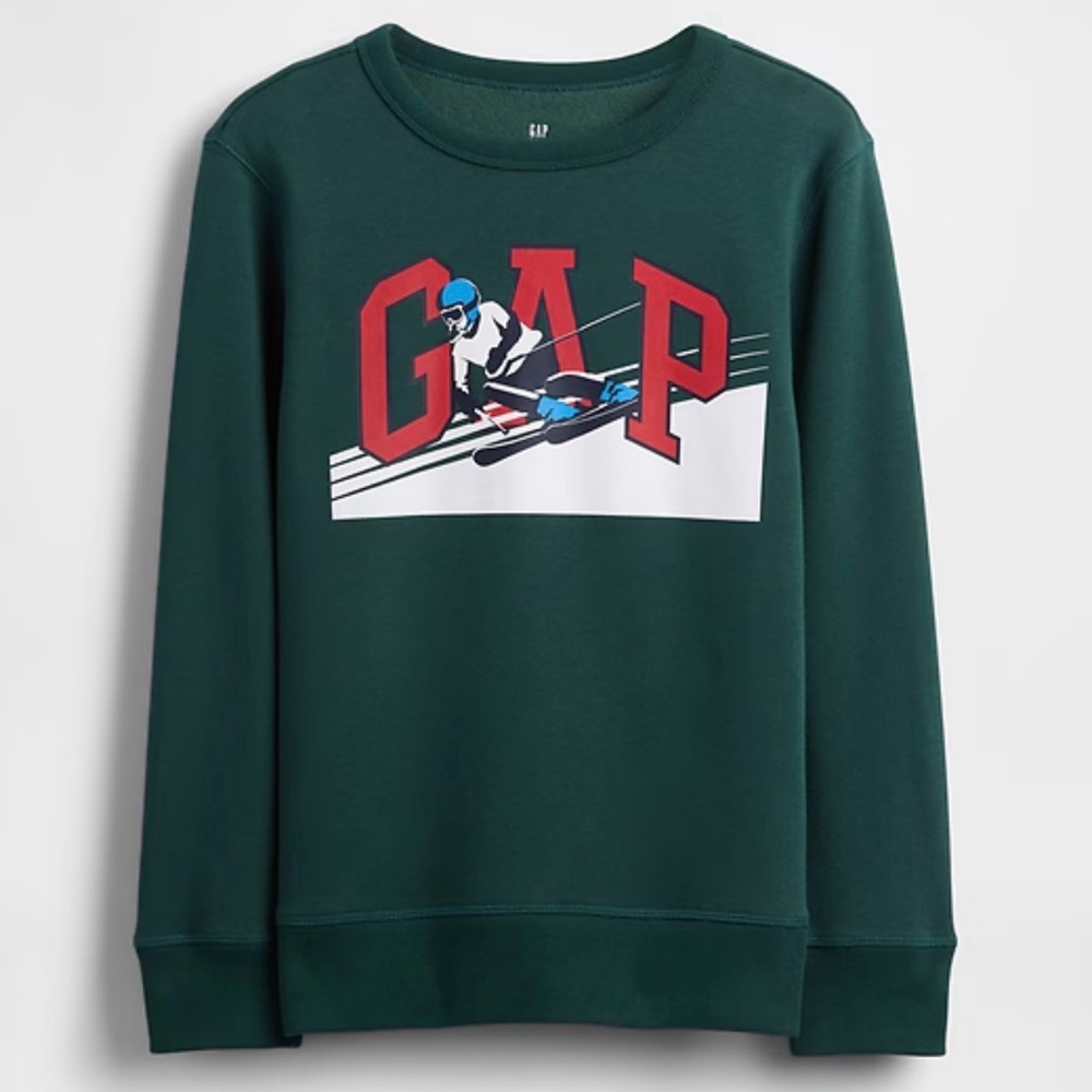 GAP Boys Green Sweater with Ski Graphic